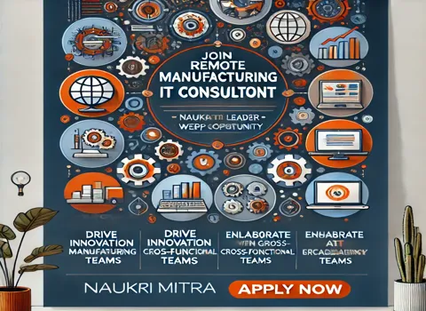 Remote Manufacturing IT Consultant