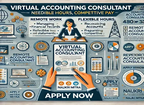 Virtual Accounting Consultant